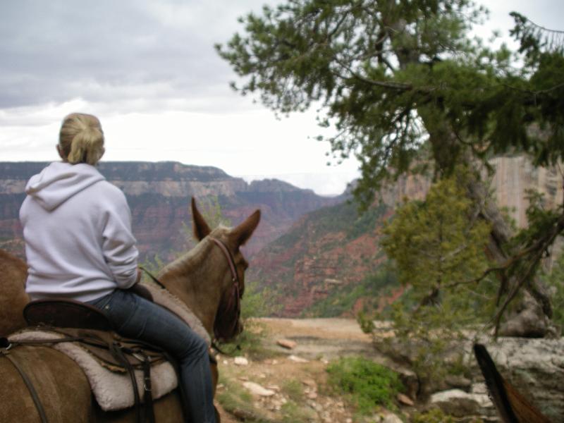 Den looking at view.JPG